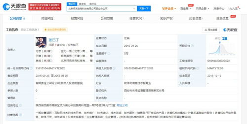計算機系統集成服務的核心價值與實踐應用