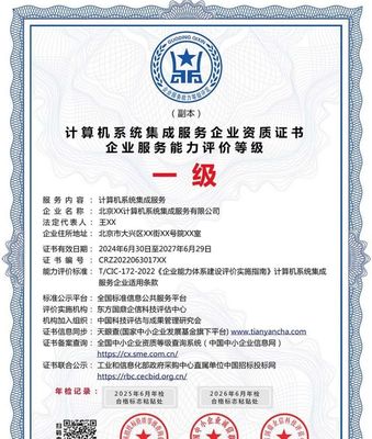 計算機系統集成服務企業資質證書 投標加分的利器，ESCE認證多網可查